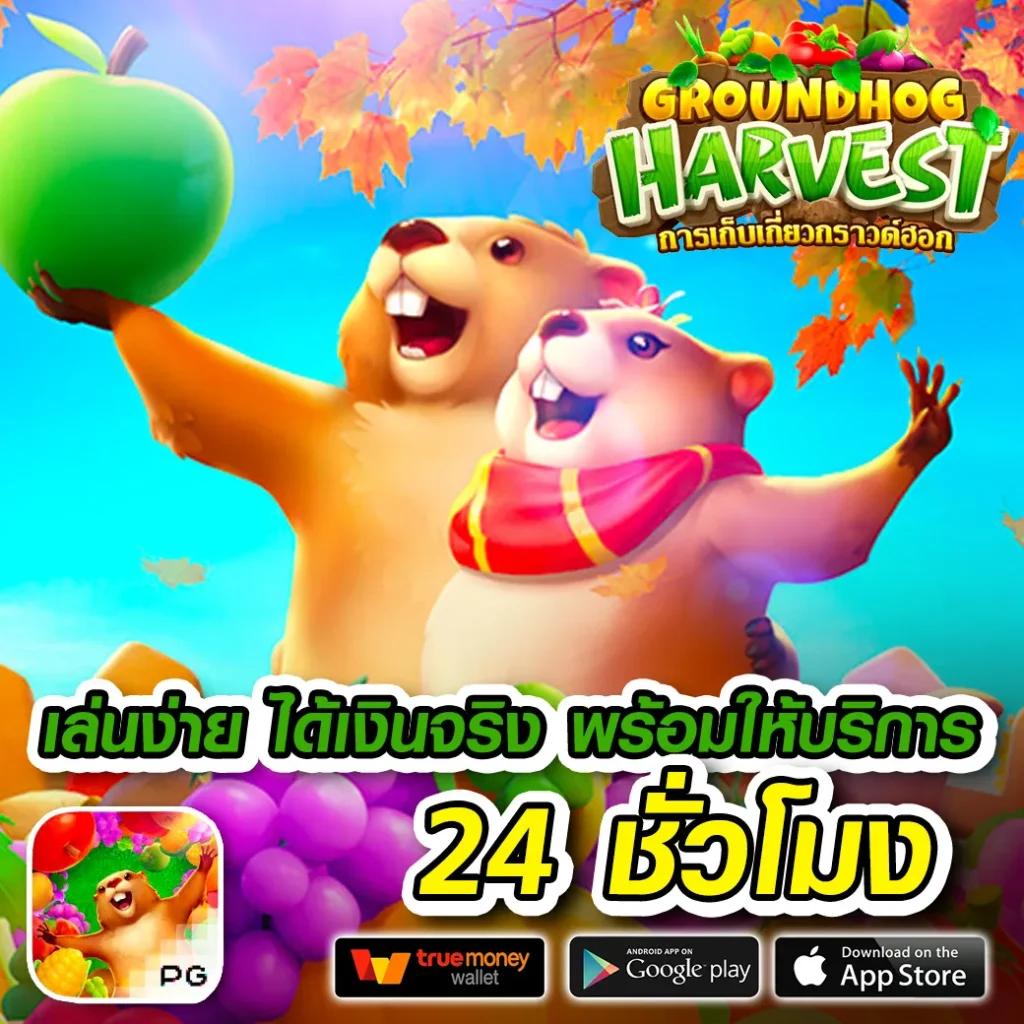 lv224 สล็อต เว็บตรง เติมเต็มทุกความสนุกในการเดิมพันออนไลน์