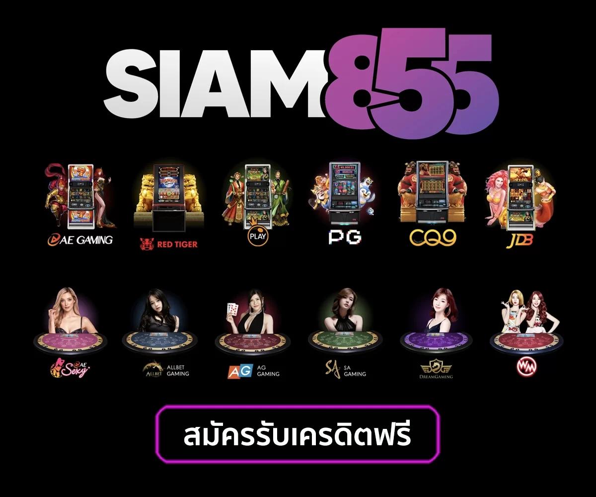 บอลนี้ คาสิโนครบวงจร เล่นง่าย จ่ายจริง มั่นใจได้ในทุกการเดิมพัน