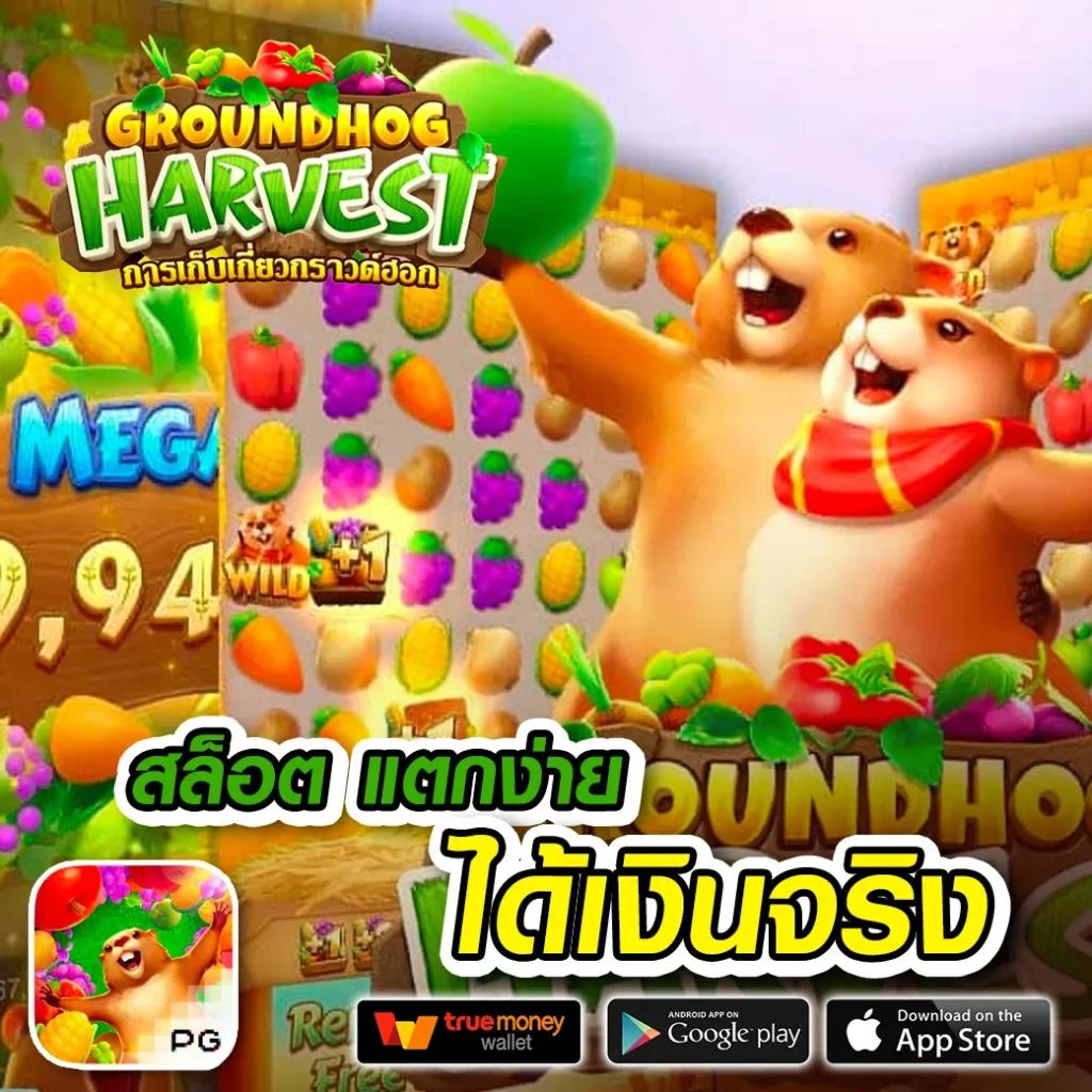 ยูฟ่า1212 คาสิโนออนไลน์ครบวงจร เล่นง่าย จ่ายจริง ฝากถอนเร็ว